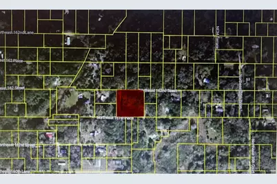 Tbd NE 163rd Place, Citra, FL 32113 - Photo 1
