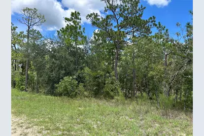 Tbd SE 26th Street, Morriston, FL 32668 - Photo 3