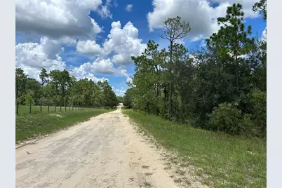 Tbd SE 26th Street, Morriston, FL 32668 - Photo 5