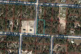 Tbd SE 26th St, Morriston, FL 32668 - Photo 1