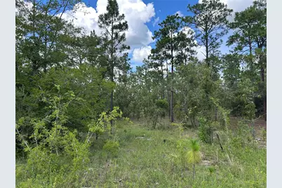 Tbd SE 26th Street, Morriston, FL 32668 - Photo 1