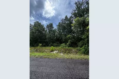 00 SE 115th Place Rd., Ocklawaha, FL 32179 - Photo 1