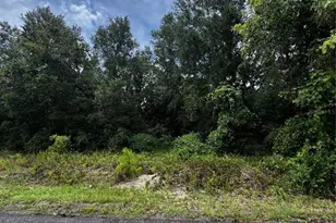 00 SE 115th Pl Rd, Ocklawaha, FL 32179 - Photo 1