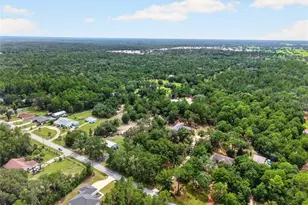 7300 SW 204th Ave, Dunnellon, FL 34431 - Photo 65