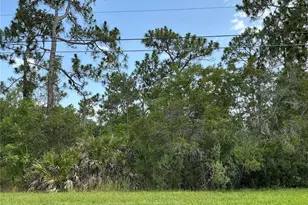 Lot 21 Peabody St, Orlando, FL 32833 - Photo 1