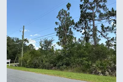 Lot 21 Peabody Street, Orlando, FL 32833 - Photo 3