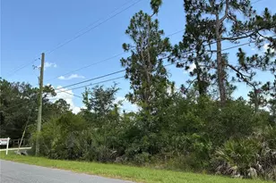 Lot 22 Peabody St, Orlando, FL 32833 - Photo 1