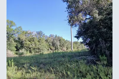 10762 N Academy Drive, Citrus Springs, FL 34434 - Photo 7