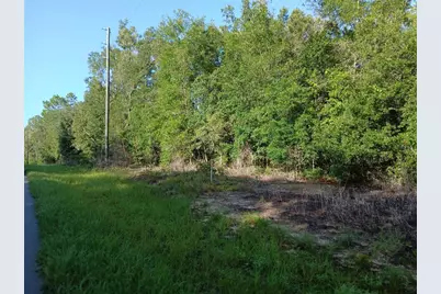 10762 N Academy Drive, Citrus Springs, FL 34434 - Photo 1