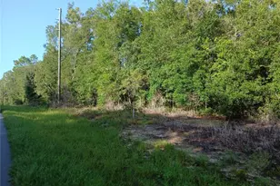 10762 N Academy Dr, Citrus Springs, FL 34434 - Photo 1
