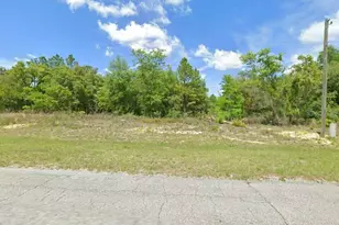 6603 N Bedstrow Blvd, Citrus Springs, FL 34434 - Photo 1