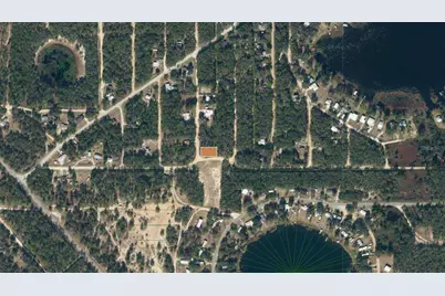 Tbd Dogwood Drive, Interlachen, FL 32148 - Photo 5