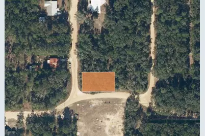 Tbd Dogwood Drive, Interlachen, FL 32148 - Photo 3