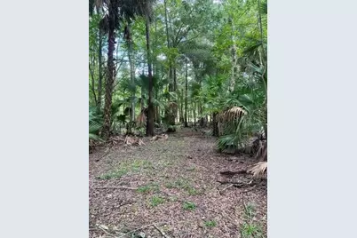 6409 E River Road, Hernando, FL 34442 - Photo 13