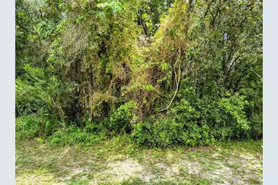 712 W Country Club Boulevard, Citrus Springs, FL 34434 - Photo 3