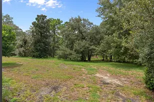 1283 W Diamond Shore Loop, Hernando, FL 34442 - Photo 47
