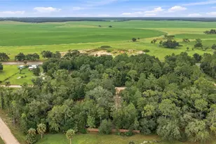 11821 SE 82nd St, Morriston, FL 32668 - Photo 3