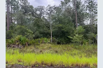 175 Court, Dunnellon, FL 34432 - Photo 3