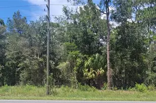 7481 W Dunnellon Rd, Dunnellon, FL 34433 - Photo 1