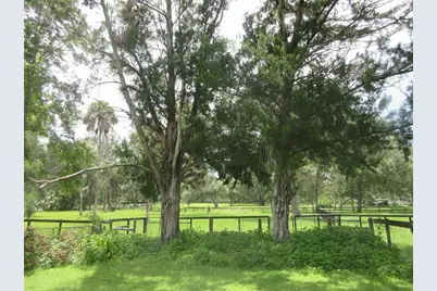 16000 N Hwy 329, Reddick, FL 32686 - Photo 35