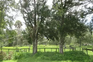 16000 N Hwy 329, Reddick, FL 32686 - Photo 35