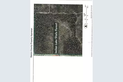 16000 N Hwy 329, Reddick, FL 32686 - Photo 85