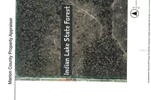16000 N Hwy 329, Reddick, FL 32686 - Photo 85