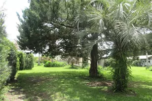 16000 N Hwy 329, Reddick, FL 32686 - Photo 29