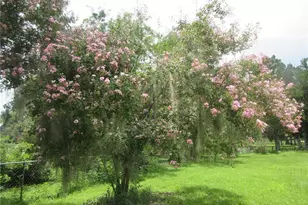 16000 N Hwy 329, Reddick, FL 32686 - Photo 33