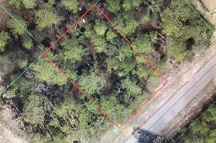 0 SW 66 Ave Rd, Ocala, FL 34473 - Photo 1