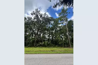 Tbd NE 225th Street, Fort Mc Coy, FL 32134 - Photo 1