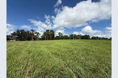 Tbd Hwy 329, Reddick, FL 32686 - Photo 5
