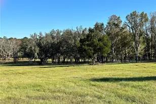 Tbd Hwy 329, Reddick, FL 32686 - Photo 1