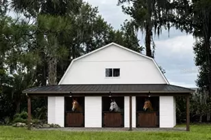 5950 SW 21st Avenue Rd, Ocala, FL 34471 - Photo 37
