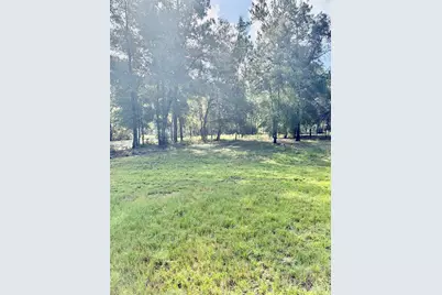 8680 SW 209th Court, Dunnellon, FL 34431 - Photo 3