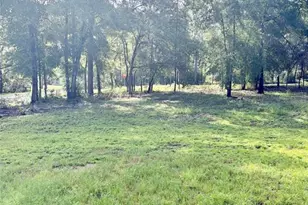8680 SW 209th Ct, Dunnellon, FL 34431 - Photo 3