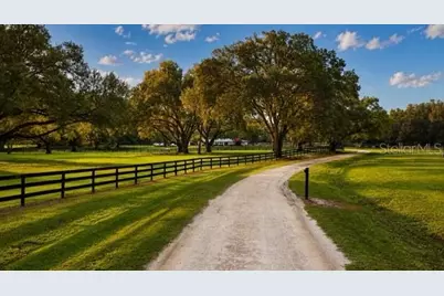 16525 SW 5th Place, Newberry, FL 32669 - Photo 29