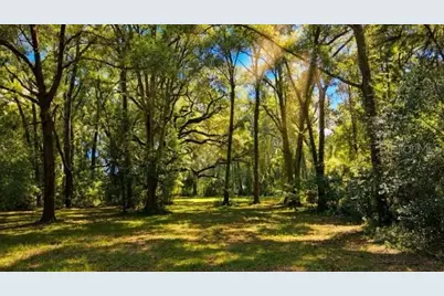 16525 SW 5th Place, Newberry, FL 32669 - Photo 31