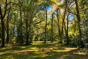 16525 SW 5th Pl, Newberry, FL 32669 - Photo 31
