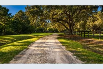 16525 SW 5th Place, Newberry, FL 32669 - Photo 3
