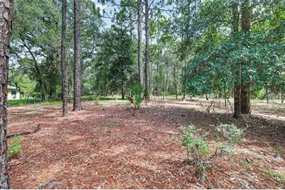 21859 SW 82nd Street, Dunnellon, FL 34431 - Photo 45