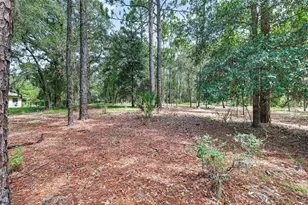 21859 SW 82nd St, Dunnellon, FL 34431 - Photo 45