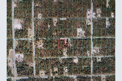 12640 SW 76th Lane, Dunnellon, FL 34432 - Photo 7