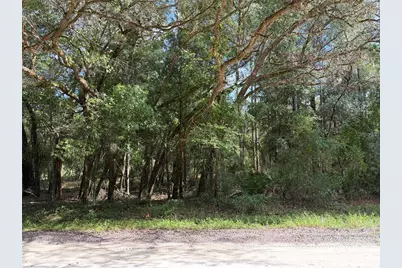 12640 SW 76th Lane, Dunnellon, FL 34432 - Photo 3