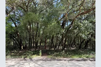 12640 SW 76th Lane, Dunnellon, FL 34432 - Photo 5
