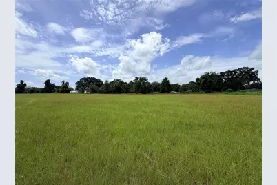 N Hwy 441, Citra, FL 32113 - Photo 3