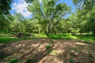 14450 SE Sunset Harbor Rd, Weirsdale, FL 32195 - Photo 69