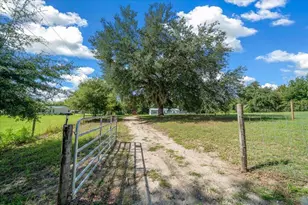 14450 SE Sunset Harbor Rd, Weirsdale, FL 32195 - Photo 63