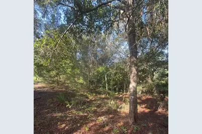 19037 Parakeet Road, Brooksville, FL 34614 - Photo 5