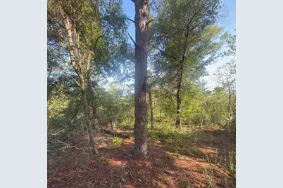 19037 Parakeet Road, Brooksville, FL 34614 - Photo 3